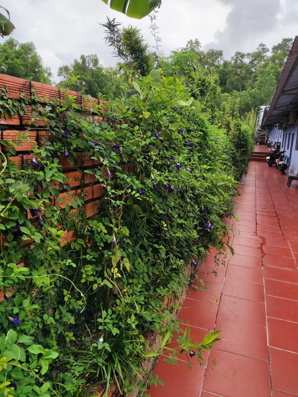 Hotel Lavender Garden Phu Quoc Exterior foto