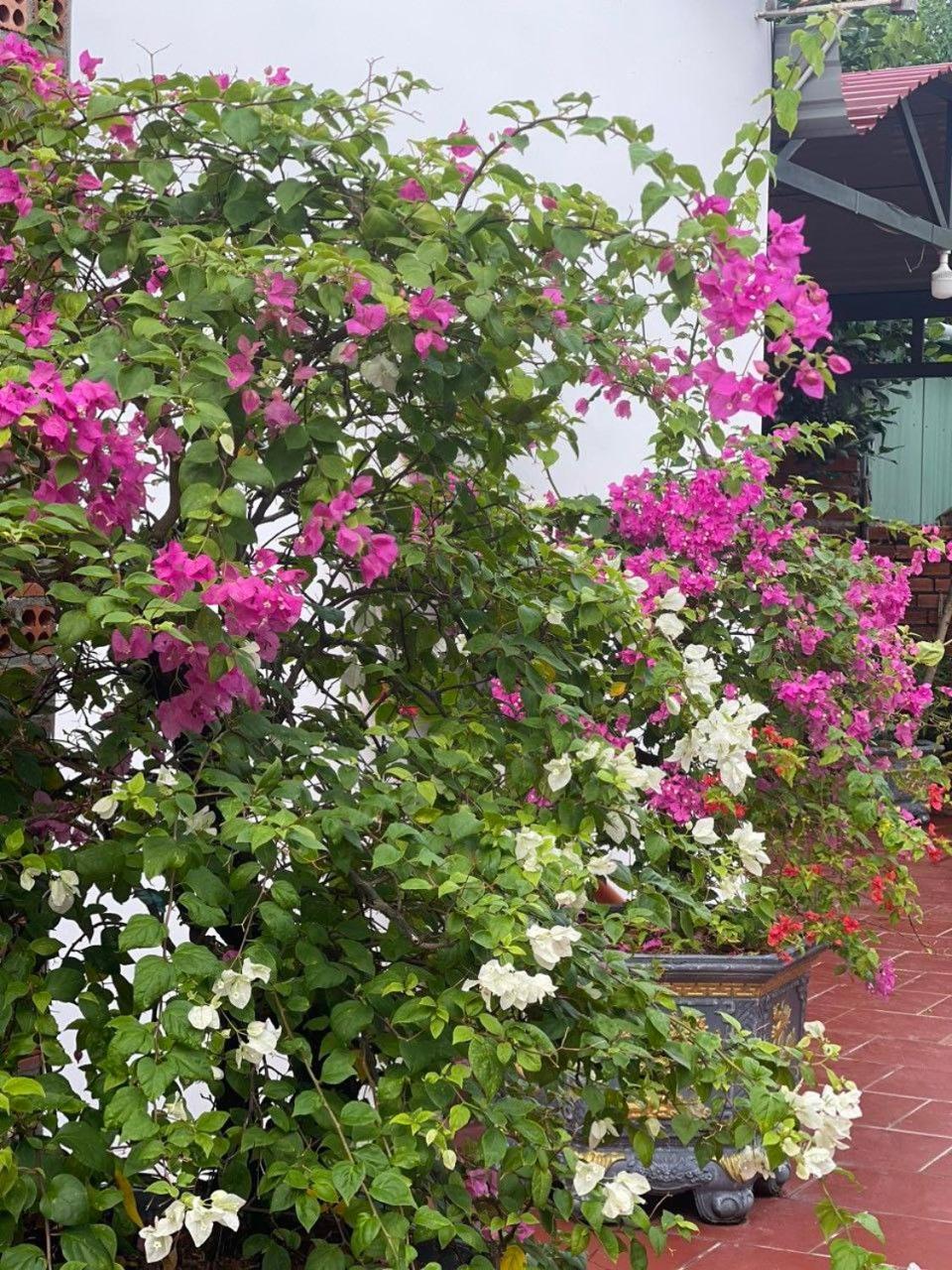 Hotel Lavender Garden Phu Quoc Exterior foto