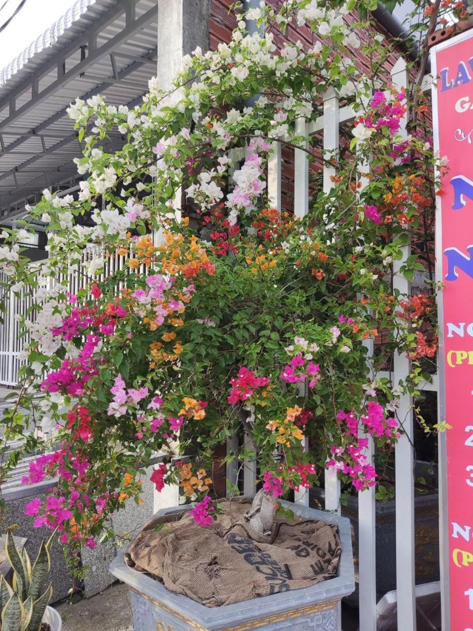 Hotel Lavender Garden Phu Quoc Exterior foto