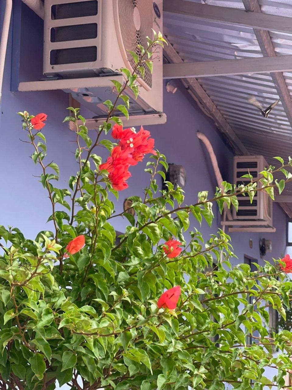 Hotel Lavender Garden Phu Quoc Exterior foto